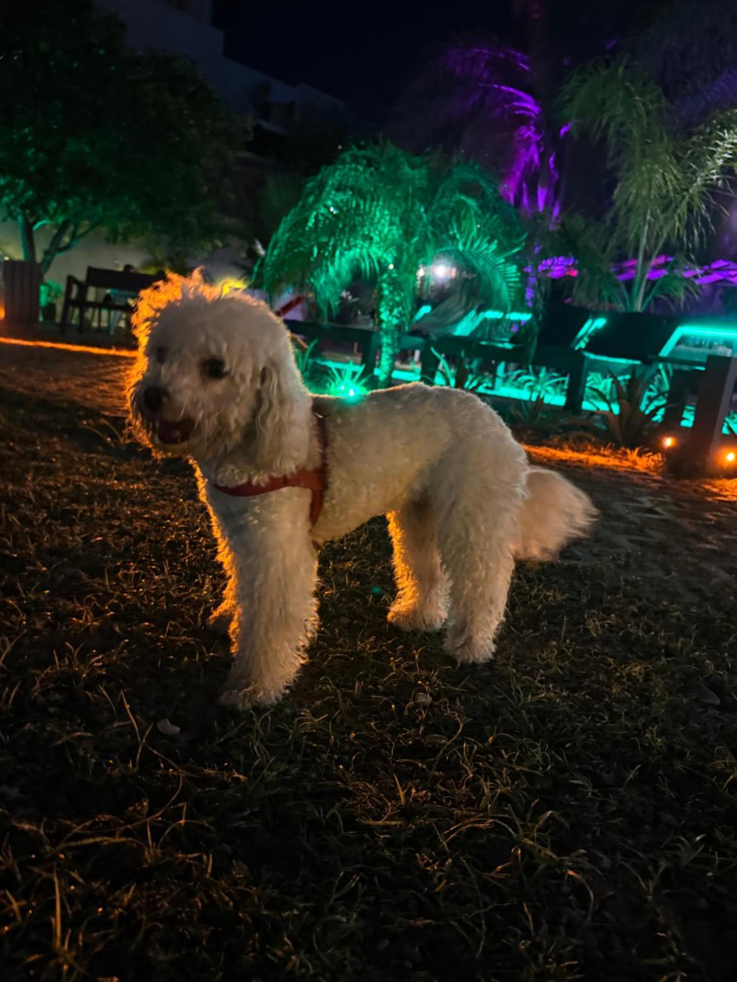 Hotel Termal Emperatriz Termas de Río Hondo Zewnętrze zdjęcie